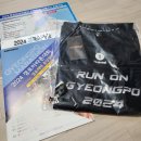 [마라톤 후기🏃🏻‍♀️]2024년 경포마라톤 &amp; JTBC 서울마라톤 10K