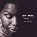 Feeling Good - Nina Simone - 이미지