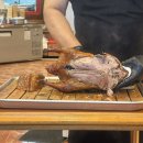 베이징코야일산점 이미지