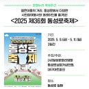 제36회 동성로축제 이미지