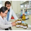 유한회사 야생초 이미지