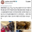 ㈜한인코리아 | 🇭🇺 성령님 또 오셨으면 좋겠다 | 치킨 파티, 성령강림일 연휴, 데브레첸 1박2일(동물원, 아쿠아티쿰, 빅...