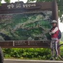 비비안장흥 이미지
