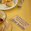 디어터틀(dear turtle) 이미지