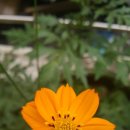 정일품고시원