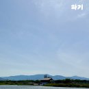 카페둔치