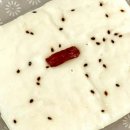 아산한양떡집 이미지