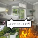 들꽃마당펜션 | 강릉 감성 숙소 펜션 추천 ‘소금강에서 띄우는 들꽃편지’ 내돈내산 후기ㅣ개별바베큐,수영장,커플숙소...