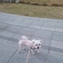 펫파크 동백점 이미지