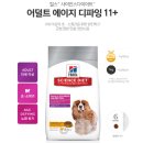 애견 11번가 이미지