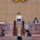 334 이미지