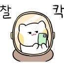 연하남연어하는남자 이미지
