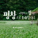 이효석문화예술촌 티스토리