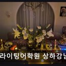 에스라이팅상하강남캠퍼스어학원