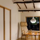 탈로 제주 이미지