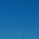 상현달커피 | 사랑은 나의 마음을 간지럽히고