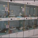 펫아미 강아지분양 고양이분양 동탄점 이미지