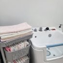 개똥이 애견샵 이미지