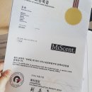 Miscent - 성남시 분당구 정자일로 162 | Miscent