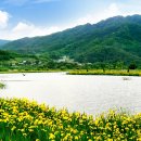 거창-거창-6 이미지