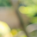 모드니한의원 이미지