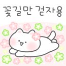 초초네일 이미지