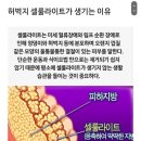 온니슬림 네이버블로그