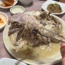 청록수 이미지