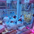 뽑기아트샵 이미지