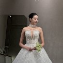 마리스포사앤아뜰리에레이나 | [대구 웨딩샵] 마리스포사&아뜰리에레이나 2026 NEW DRESS 신상드레스 피팅후기