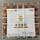 에그24 네이버블로그