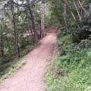 봉화산둘레길 이미지