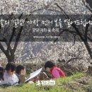 설렘,봄날의꽃 Daum카페