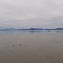 장선포2 이미지