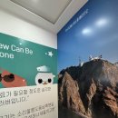 독크루 네이버블로그