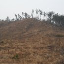 장군산한우 이미지