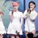 나인뮤지스 카카오 검색결과