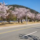 거제삼성어린이집 이미지