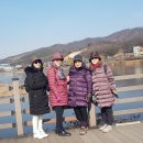 제166차 길따라 광주 중동 물빛 공원 2019.2.8 이미지