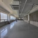 커몽도그 이미지