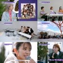 스트릿포레스트 뉴스엔