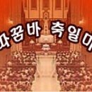 [가해] 성 시몬과 성 유다(타대오) 사도 축일(2017-10-28) 이미지