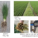 순천농협 도사지점 이미지