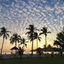 파라다이스 골프레인지 이미지