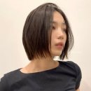 스파커치 이미지