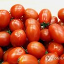 김영신축산 이미지