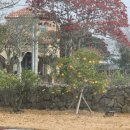 이른비스테이 이미지