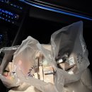 강릉휴식주머니스파펜션 | 2026년 01월 일상과 강릉 여행