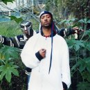 엠에프(MF) 이미지