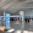 411 | [뉴질랜드 신혼여행] 인천→오클랜드 직항 대한항공 KE411 후기 (기내식·좌석·에어뉴질랜드 환승)